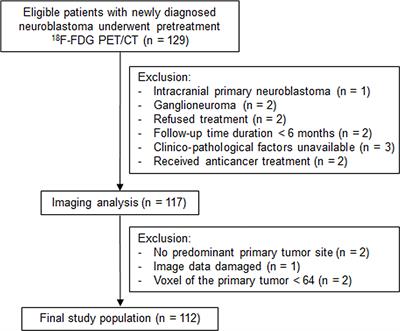 Improved risk stratification by PET-based intratumor heterogeneity in children with high-risk neuroblastoma